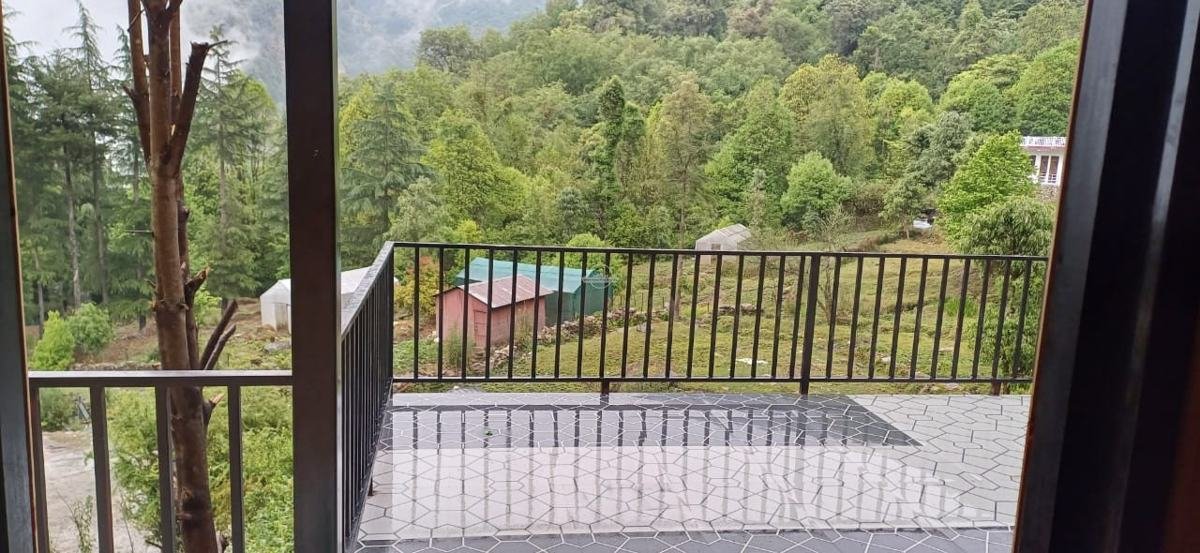 Balcony railing and forest