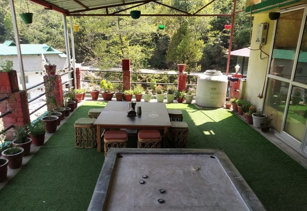 Open terrace with plants